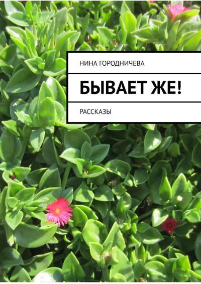 Книга Бывает же! Рассказы (Нина Городничева)